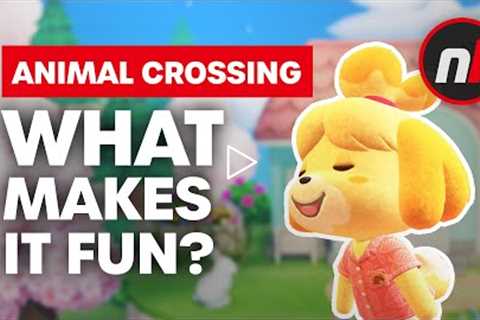 What Makes Animal Crossing: New Horizons Fun?
