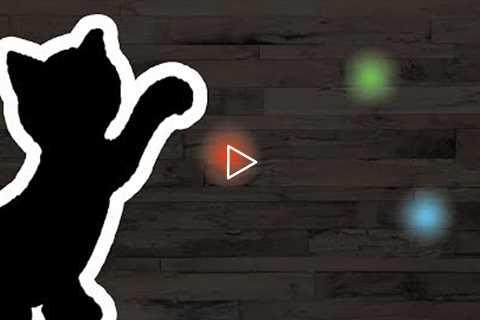 Cat Games App - Catch The Laser Pointer Video (for cats only)