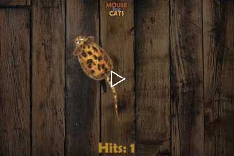 Video for Cats - Mouse for Cats: iPad game for cats app