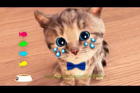 Little Kitten Preschool Adventure Educational Games iOS Play Fun Cute Kitten Pet Care Learning