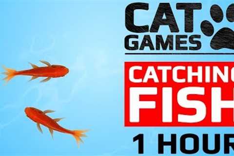 CAT GAMES - 🐟 CATCHING FISH 1 HOUR VERSION (VIDEOS FOR CATS TO WATCH)