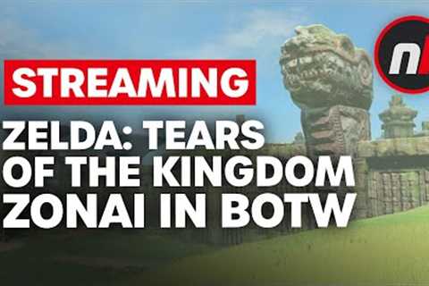 Looking for Zelda: Tears of the Kingdom Secrets in Breath of the Wild