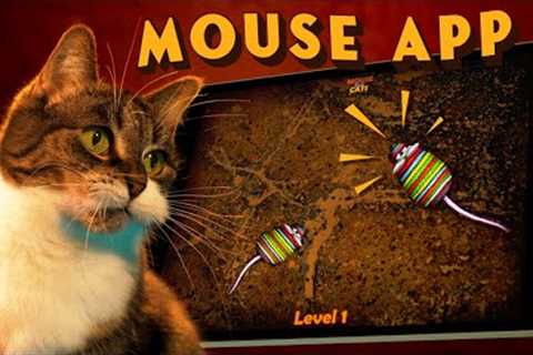 One Cat One Toy One Minute Review: MOUSE FOR CATS app on iPad