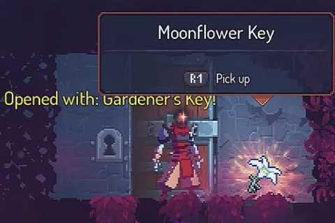 Dead Cells Moonflower Keys - what they are and where to get them