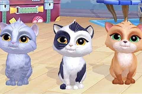 My Cat! - Pet Game - Choose Your Pet Cat