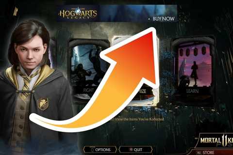 Mortal Kombat 11 PS5, PS4 Fans Can’t Believe the Game’s Been Filled with Hogwarts Legacy Ads