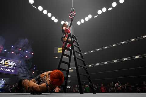 How High is Too High? Ladder Matches in AEW: Fight Forever