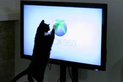 Cat Attacks XBOX 360 Logo