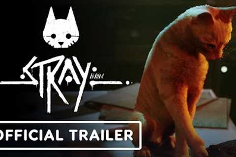 Stray - Official Xbox Release Date Trailer | Annapurna Interactive Showcase 2023