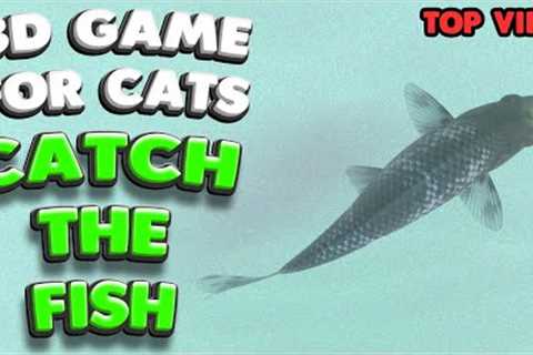 3D game for cats | CATCH THE FISH (top view) | 4K, 60 fps, stereo sound