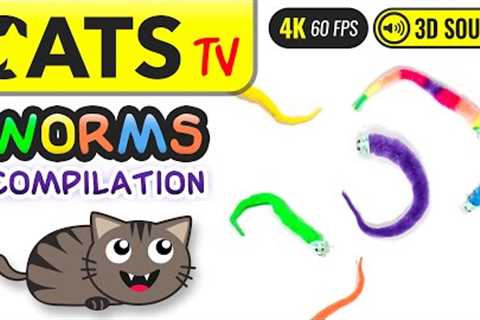 GAME FOR CATS - Worms compilation 😼 4K 🔴 60FPS 🕒 3 HOURS [Cats TV]