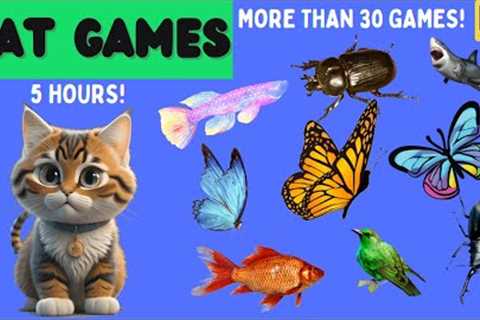 Fun Cat Games [5 HOURS in 4K] - With Bugs, Spiders, Mice, Rope, Butterfly, Bird...🐦🐿️ 🐁🪳🪢