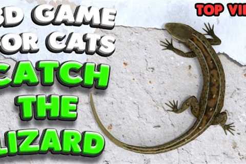 3D game for cats | CATCH THE LIZARD (top view) | 4K, 60 fps, stereo sound