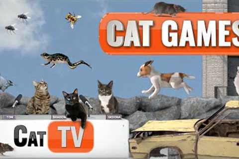 Cat Games | Whiskeropolis Takeover: When Animals Rule the City! 🐾 | Cat TV Compilation