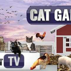 CAT Games | Barnyard Bliss: Down on the Farm with Pigs, Cows, Chickens and More! 🐮🐔🐷🐑🐴  Cat..