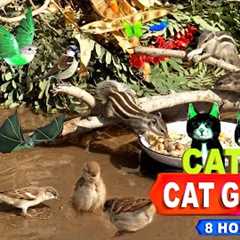 CAT TV | ENTERTAINMENT VIDEO FOR CATS TO WATCH 4K 8-HOURS NON-STOP FUN FOR CATS | 🐱