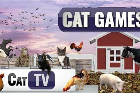 CAT Games | Barnyard Bliss: Down on the Farm with Pigs, Cows, Chickens and More! 🐮🐔🐷🐑🐴  Cat..