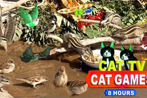 CAT TV | ENTERTAINMENT VIDEO FOR CATS TO WATCH 4K 8-HOURS NON-STOP FUN FOR CATS | 🐱