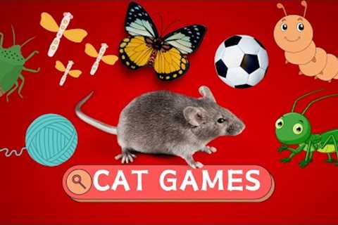 Cat Games - Balls, Lizards, Flies, Mice Run On The Screen For Your Cat To Play | CatTV