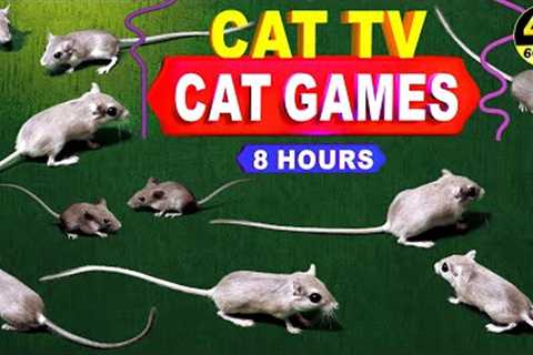 CATCHING MICE! Entertainment Video for Cats to Watch | CAT GAMES - CAT & DOG TV.