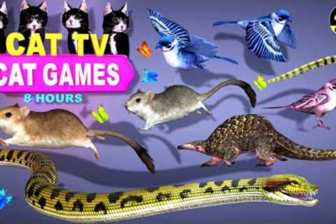 CAT GAMES OFFICIAL | BEST CAT TV COMPLATION FOR CATS | THE JERRY MOUSE HOLE 🐭 4K 8-HOURS | 🐱