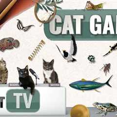 CAT Games | Ultimate Cat TV Compilation Vol 58 | 2 HOURS 🐝🐞🦋🦎🦜🐜🐭🧵