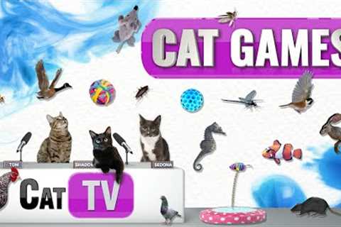 CAT Games | Ultimate Cat TV Compilation Vol 59 | 2 HOURS 🐝🐞🦋🦎🦜🐜🐭🧵