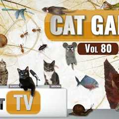 CAT Games | Ultimate Cat TV Compilation Vol 80 | 4 HOURS  🐝🐞🦋🦎🦜🐜🐭🧵