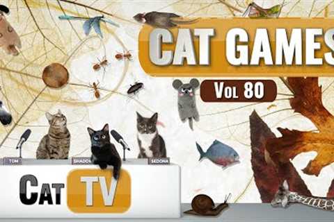 CAT Games | Ultimate Cat TV Compilation Vol 80 | 4 HOURS  🐝🐞🦋🦎🦜🐜🐭🧵